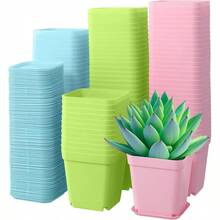 10 piezas/set Maceta cuadrada de flores de color mixto mini con bandeja, maceta de plástico para plantas suculentas, decoración del hogar para jardinería - Multicolor - Ver 5
