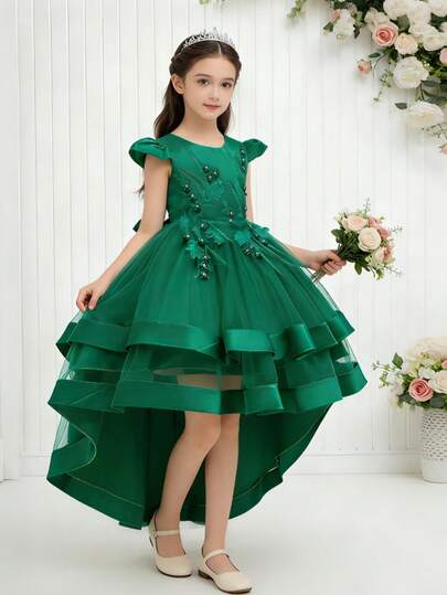Tween Girl Rhinestone Beaded Embroidered Applique Dress, Trailing Puffy Princess Gown, Flower Girl Wedding Birthday Party Piano Recital Evening Dress