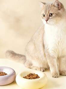甜甜圈造型陶瓷猫碗 - 时尚宠物食品和水碗，宽边设计防溢，简约美学 - 100ml - 查看 4