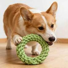 18厘米环形狗狗玩具 | 打结设计！多功能合一，适合中小型犬咀嚼、牙齿护理、玩耍和训练，耐咬，玩耍更安全！ - 綠色 - 查看 12