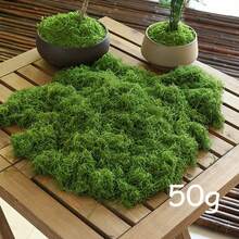 Dekorasi Lumut Buatan 10-200g - Lumut Palsu Buatan, Tanaman Hijau Realistis, Rumput Lumut DIY untuk Tata Letak Lanskap Mikro, Cocok untuk Lanskap Mikro, Dekorasi Jendela, dan Tata Letak Desain - MultiWarna - View 11