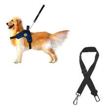 Coleira Peitoral Guia Com Cinto De Segurança Para Cachorro Mod X - Azul - Visão 1