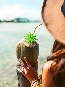 椰子叶饮料伞鸡尾酒签，带木质牙签，适合夏季夏威夷纸杯蛋糕装饰，热带婚礼派对装饰，饮料伞鸡尾酒签 - 多色 - 查看 5