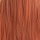 Coral Orange