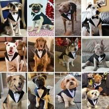 2pcs/Set Pet Tuxedo And Scarf Set: Small/Medium/Large Dog Formal Party Outfit - Dog Clothes - Prince Bow Tie Shirt - Golden Retriever Samoyed Wedding Attire - Black - View 3