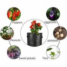 Túi trồng khoai tây có nắp đậy và tay cầm, thích hợp trồng cà chua, trái cây, cà rốt, hành tây, khoai tây, dâu tây và các loại rau khác. - Nhiều màu - Xem 2