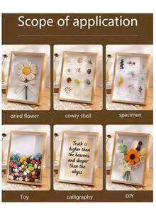1pc 3cm Hollow 3D Photo Frame, DIY Shell, Seashell, Plant, Butterfly Specimen Frame, Preserved Flower, Dried Flower Decor, Tabletop Display, Suitable For Home Decor, Room Decor, Art Wall, Frame, Wall Decor, Gift - Multicolor - View 6