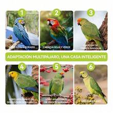 Jaula de Pájaros Grande Móvil con Almacenaje y Techo con Juguetes | Ideal para Aves de Tamaño Grande y Medio - L - Ver 8