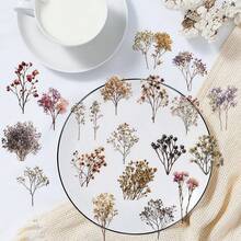 50pcs Vintage Dried Flower Transparent PET Creative Graffiti Stickers, Suitable For Luggage, Water Bottles, Skateboards, Etc. - 1 Set - View 6