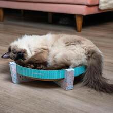 Catstages Scratch,Snuggle &Amp; Rest U2013 2u2011inu20111 Indoor Cat Scratcher &Amp; Elevated Cat Lounger,Catnip Included,(Pack Of 6) - Màu E - Xem 8