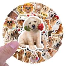 50 miếng dán hình chó Golden Retriever hoạt hình dùng để trang trí hành lý, laptop, mũ bảo hiểm. - 50 CÁI - Xem 12