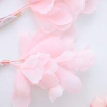 4件套粉白雪纺花朵发夹，新娘婚礼发饰 - 彩色 - 查看 6