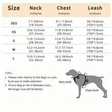 Small Dog Harness And Leash Set, Includes Leash, Breathable Reflective Printed Mesh Material, Suitable For Walking Dogs All Seasons - Lilac Purple - View 3