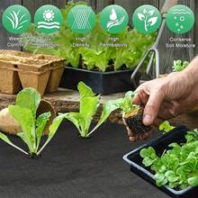 Vải chắn không dệt, lỗ cắt sẵn, kích thước 31,5 x 393,7 inch | Thoáng khí & Dễ trồng | Thích hợp cho vườn rau, luống hoa, nhà kính và vòng bảo vệ gốc cây. - B - Xem 9