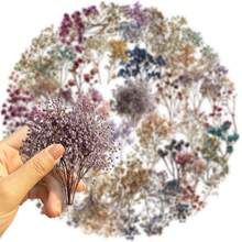 50pcs Vintage Dried Flower Transparent PET Creative Graffiti Stickers, Suitable For Luggage, Water Bottles, Skateboards, Etc. - 1 Set - View 3