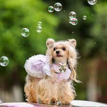 5pcs/Set Random Style Pet Spring Bow Tie Flower Pattern Pearl Rhinestone Dog Grooming Accessories - Multicolor - View 3