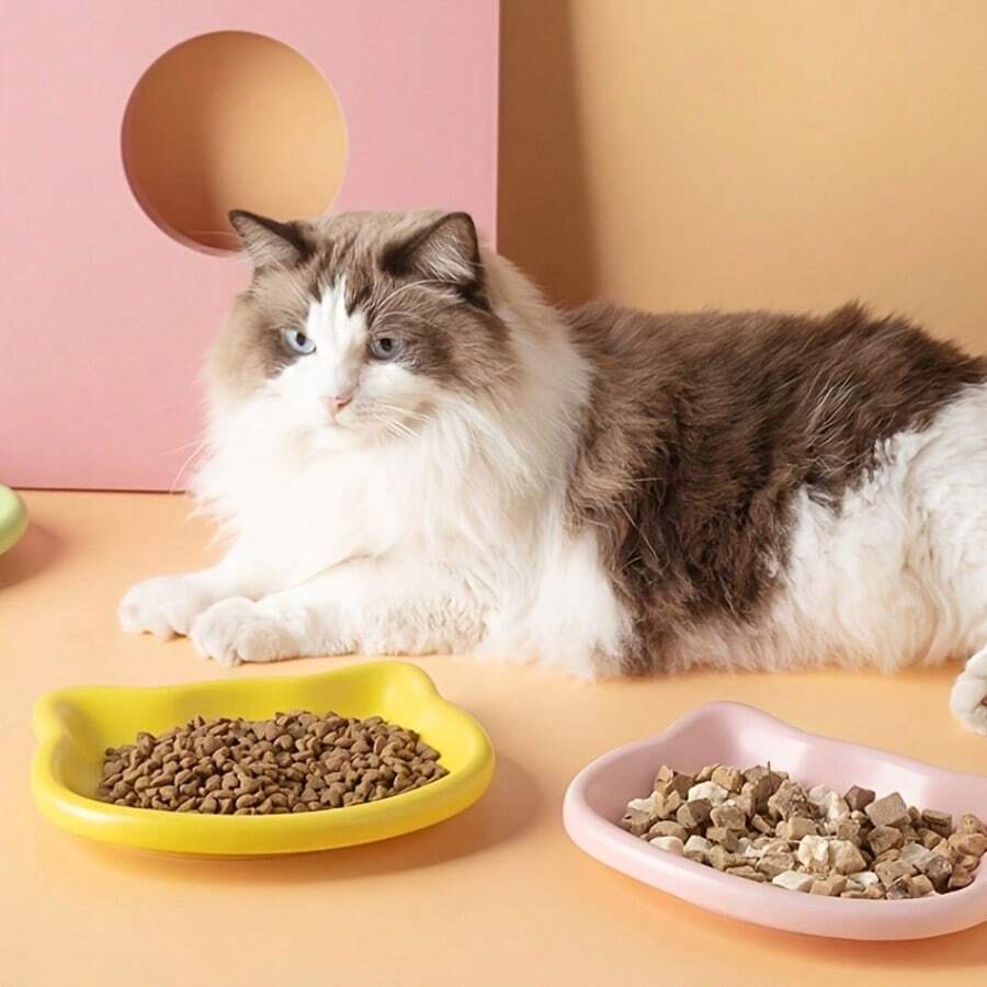 高级宠物喂食碗,专为猫咪设计,可盛放猫粮、罐头食品和冻干零食,光滑材质防止油脂残留和下巴发黑,卫生易清洗,浅口设计方便猫咪进食,实用猫用餐具。 - 1件 - 查看 1