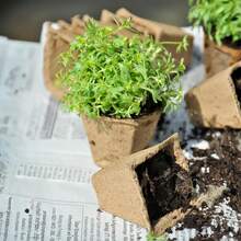 15pcs/Set Or 30pcs/Set Pulp Nursery Cups With Plant Labels, One-Time Use Paper Pulp Seedling Tray Square Planting Cups For Vegetable, Herb And Succulent Germination, Suitable For Home Nursery And Nursery Bases - Seedling Tray - View 7