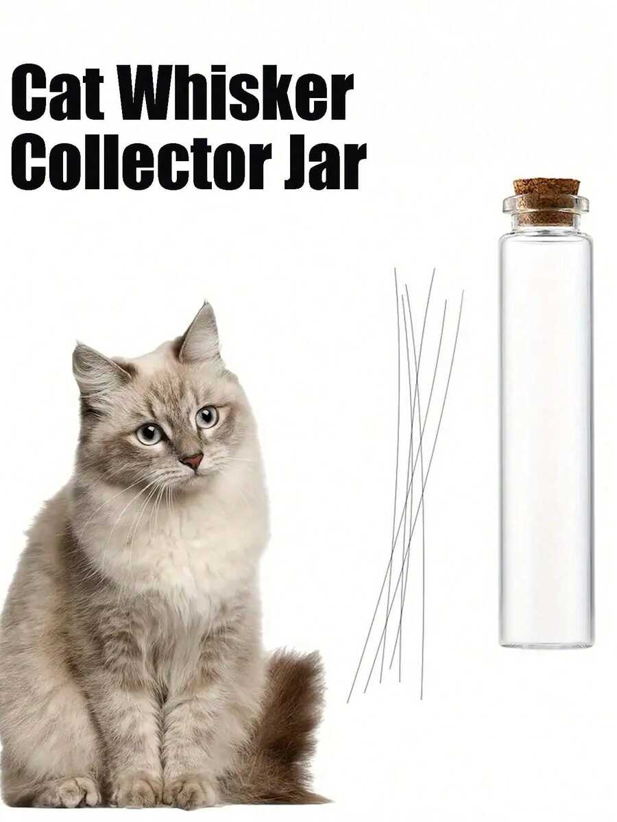 猫须收集罐，猫须收集瓶，迷你玻璃花瓶，适合爱猫人士，迷你玻璃花瓶 - 精致收藏礼品，四季皆宜