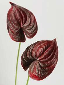Hoa Anthurium nhân tạo 23,6 inch, màu đỏ tía, chất liệu giống thật, dùng để tự làm bó hoa cưới, trang trí bàn tiệc, tiệc cưới, trang trí nhà cửa. - Nhiều màu - Xem 8