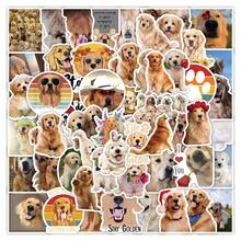 50 miếng dán hình chó Golden Retriever hoạt hình dùng để trang trí hành lý, laptop, mũ bảo hiểm. - 50 CÁI - Xem 9