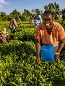 Tablier de jardinage robuste - grande capacité, tablier en PE facile à nettoyer avec une zone de travail spacieuse, convient aux jardiniers professionnels et domestiques, aux agriculteurs - pour la plantation, la récolte, le désherbage, la germination des graines - tenue de jardinage extérieur durable et outils de jardinage - tablier de jardinage - Voir 2