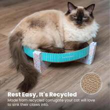 Catstages Scratch,Snuggle &Amp; Rest U2013 2u2011inu20111 Indoor Cat Scratcher &Amp; Elevated Cat Lounger,Catnip Included,(Pack Of 6) - Màu E - Xem 7