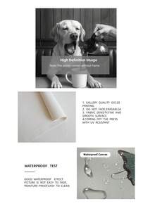 1件復古Pup & Perk牆面藝術單色咖啡獵犬照片，附「Stay Pawsitive」語錄與銀鹽膠質紋理，紋理畫廊紙，適合咖啡店角落/海灘別墅廚房/畢業裝飾，送給她的完美禮物與咖啡師派對裝飾 - 黑與白 - 查看 11