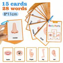 Lachilly 家庭、学前教育、儿童英语学习、单词卡、身体部位、水果、蔬菜、动物、颜色和形状、数字、儿童英语学习、蒙特梭利玩具、常用词汇单词卡、学校、学生、文具、学习用品、英语字母、学前教育玩具、辅音-元音-辅音 (CVC) 单词、自然拼读 - 彩色 - 查看 20