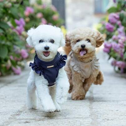 一套宠物胸背带和牵引绳，猫狗通用，可爱时尚，适合小型/中型犬，室内外均可使用。