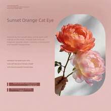 MIANEL GEL 10毫升 2026畅销款日落橙猫眼凝胶指甲油 – 美白玻璃珠猫眼，情人节美甲，专业美甲沙龙用品，UV/LED固化 - 彩色 - 查看 7