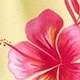 Nhiều màu