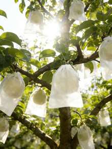 50片/100片装透气防虫网罩，隐藏式抽绳，水果网袋，适用于果园果树，防鸟防虫网，保护苹果和葡萄。防止鸟类、害虫和各种动物入侵。 - 多款 - 查看 2