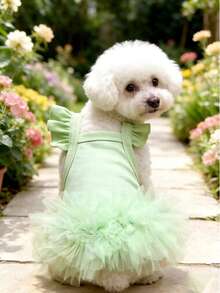 宠物狗服装，猫咪仙女短袖蓬蓬公主裙，适合小型犬，如贵宾犬、泰迪犬、雪纳瑞犬、比熊犬、约克夏梗犬等。生日派对服装，春夏款。 - 薄荷綠 - 查看 18