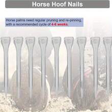 50pcs/Set Stainless Steel Horse Shoe Nails, Horseshoe Nails, Hoof Nails, For Fixing Horse Hooves, Horse Training, Equestrian Sports, Horse Gear - View 7