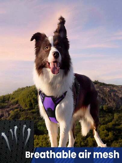 Dog Harness, Anti-Pull Pet Harness, With 2 Leash Attachments, Adjustable Soft Padded Dog Vest, Reflective Anti-Choke Pet Oxford Cloth Vest, With Easy-Control Handle, Suitable For Large Dogs
