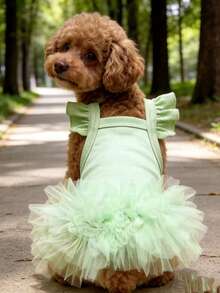 宠物狗服装，猫咪仙女短袖蓬蓬公主裙，适合小型犬，如贵宾犬、泰迪犬、雪纳瑞犬、比熊犬、约克夏梗犬等。生日派对服装，春夏款。 - 薄荷綠 - 查看 17
