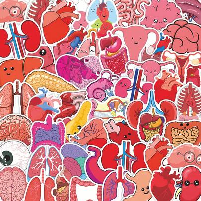 50 Pieces Of Cartoon Human Organ Graffiti Stickers - Waterproof Vinyl, Suitable For Water Bottles, Laptops, Notebooks, Helmets, Etc. - Motivational Aesthetic Teacher Award Stickers