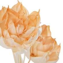 Diffuser Flowers With Sticks, Reed Diffuser Sticks, Aromatherapy Flower Placement Refill For Home Decor - Orange Peony Set - View 8