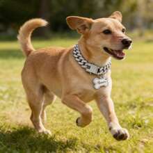 Universal Decorative Collar For Cats And Dogs, Combining Classic Cuban Chain And Personalized Bone Pendant, Made Of Rust-Resistant And Durable Zinc Alloy, Adorned With Transparent Rhinestones For A Luxurious Look, Adjustable Neck Size For Long-Term Comfortable Wear - Multicolor - View 5