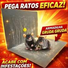 ENVIO RAPIDO Ratoeira Adesiva Armadilha Roedores Cola Rato, Pragas -Linha Premium Qualidade Garantida Praticidade -25x18 - A - Visão 6