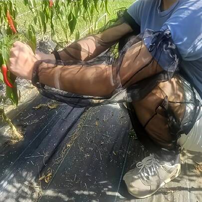 4pcs Mesh Arm And Leg Protectors, Jungle Gaiters, Elastic Mosquito Net Pants Covers, Lightweight Breathable Bug Protection Leg Sleeves, Nylon Outdoor Leggings Covers, Suitable For Camping, Hiking, Fishing, Survival, Gardening, Outdoor Anti-Insect Gear - Ideal Outdoor Equipment For Men And Women (Mother's Day, Father's Day, Independence Day Gifts), Fishing Essential, Sturdy Mesh Design, Adventurer's Exclusive, Gardening Enthusiasts, Outdoor Lovers' Ideal Gift, Mosquito Net Cover, Outdoor Mosquito Cover, Fishing Mosquito Cover