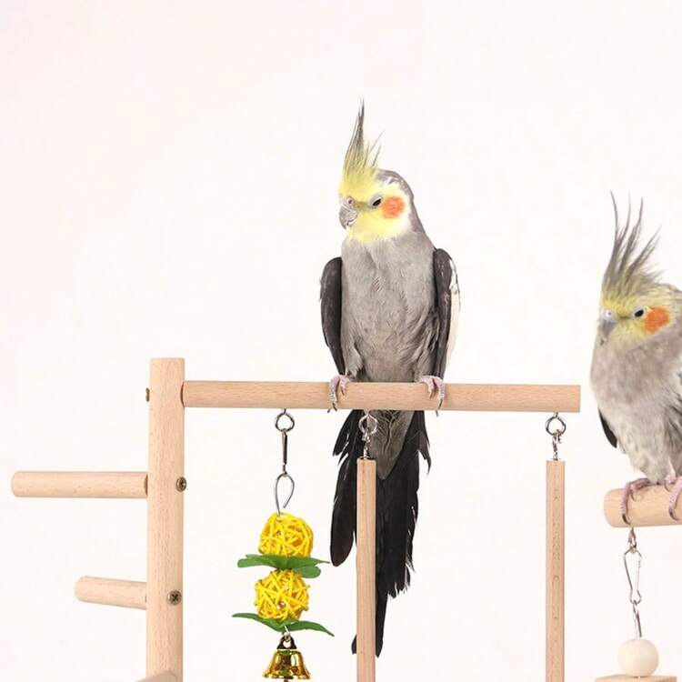 Assorted Color Bird Toy Accessories - Perch, Swing, Chew Toy, Bell, Suitable For Medium & Small Parrots, Easy Installation Perch - View 4