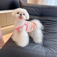 Áo khoác kẻ sọc, dây đeo thoáng khí, nhẹ, thích hợp cho chó nhỏ, chó Poodle, Teddy, Maltese, thích hợp mặc mùa hè. - Nhiều màu - Xem 5