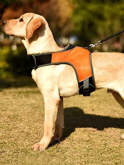 Orange Dog Harness, Simple Solid Color Puppy Vest, Breathable Adjustable No-Pull Dog Vest For Small Medium Dogs, Outdoor Daily Walk