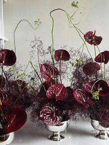 Hoa Anthurium nhân tạo 23,6 inch, màu đỏ tía, chất liệu giống thật, dùng để tự làm bó hoa cưới, trang trí bàn tiệc, tiệc cưới, trang trí nhà cửa. - Nhiều màu - Xem 7