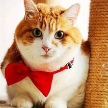 3 buc papion reglabil pentru animale de companie - opțiuni multiple de culoare, material satinat moale, fundă formală drăguță pentru gâtul câinilor și pisicilor, ideală pentru nunți, petreceri, ședințe foto și purtare zilnică - Multicolor - Vizualizare 7