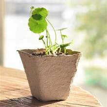 15pcs/Set Or 30pcs/Set Pulp Nursery Cups With Plant Labels, One-Time Use Paper Pulp Seedling Tray Square Planting Cups For Vegetable, Herb And Succulent Germination, Suitable For Home Nursery And Nursery Bases - Seedling Tray - View 5