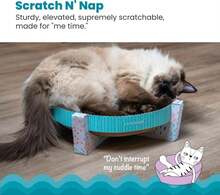 Catstages Scratch,Snuggle &Amp; Rest U2013 2u2011inu20111 Indoor Cat Scratcher &Amp; Elevated Cat Lounger,Catnip Included,(Pack Of 6) - Màu E - Xem 3