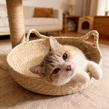 Woven Cat Bed, Suitable For All Seasons, Round Cat Scratching Bowl, Cat Sleeping Nest, Home Pet Bed, Wear-Resistant And Bite-Proof, Suitable For All Cat And Small Dog Sizes, Protect Your Sofa - Ginger - View 4